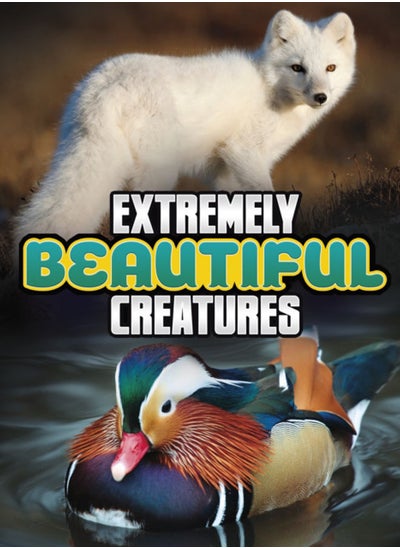 اشتري Extremely Beautiful Creatures في الامارات