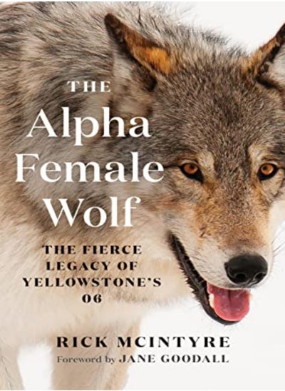 Buy The Alpha Female Wolf The Fierce Legacy Of Yellowstones 06 by McIntyre, Rick - Goodall, Jane Hardcover in UAE