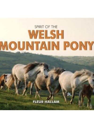 Buy Spirit of the Welsh Mountain Pony in UAE