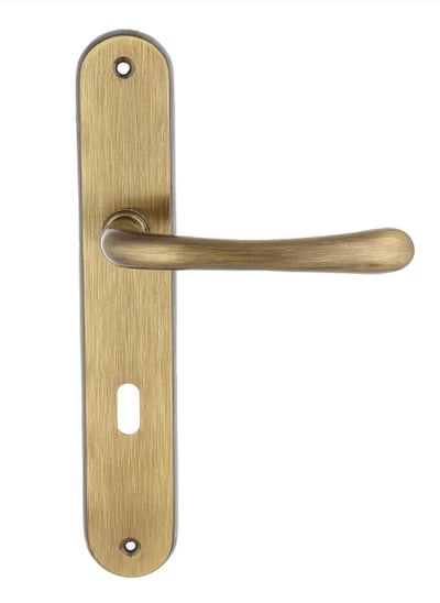 Buy Remo Bedroom Door Handle in Egypt