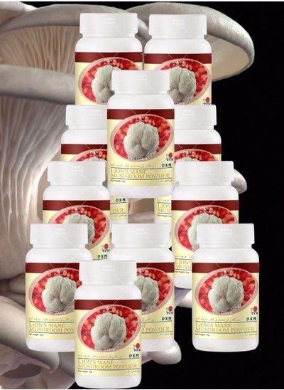 Buy 11 Pieces Lion's Mane Mushroom Powder 30g in Saudi Arabia