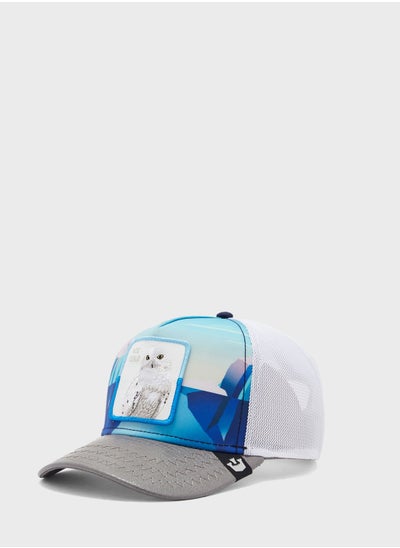 Buy Chill Owlt Curved Peak Caps in UAE