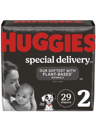 اشتري Huggies Special Delivery Hypoallergenic Baby Diapers Size 2 (12-18 lbs), 29 Ct, Fragrance Free, Safe for Sensitive Skin في الامارات