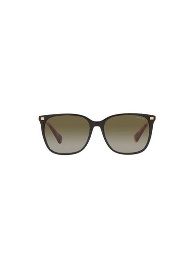 Buy Full Rim Square Sunglasses 5293-56-6037-8E in Egypt