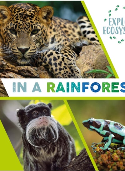 Buy Explore Ecosystems: In a Rainforest in Saudi Arabia