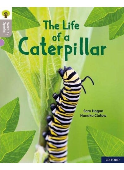 اشتري Oxford Reading Tree Word Sparks: Level 1: The Life of a Caterpillar في الامارات