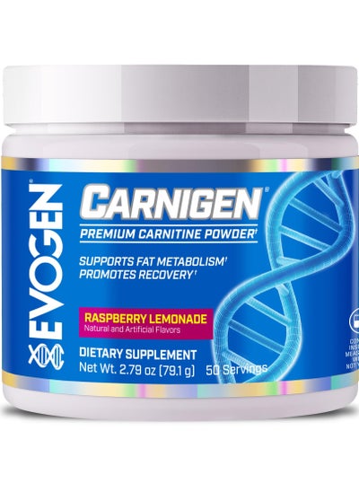 Buy Carnigen L-Carnitine Fat Burner Complex Raspberry Lemonade 50 Servings 79.1g in UAE