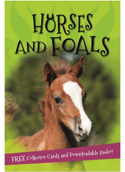 اشتري It's all about... Horses and Foals في السعودية