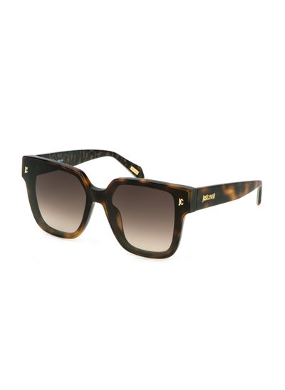 اشتري Women's Square Shape  Acetate Sunglasses SJC089 650752 - Lens Size: 65 Mm - Shiny Dark Havana في السعودية