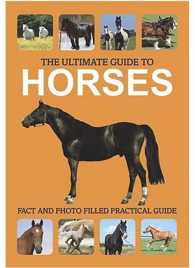 اشتري The Ultimate Guide to Horses في الامارات