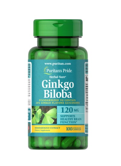 Buy Ginkgo Biloba Standardized Extract 120 mg 100's in UAE