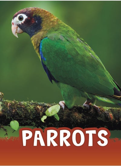 اشتري Parrots في الامارات