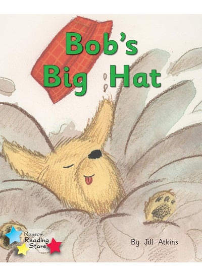 Buy Bob and the Hat: Phonics Phase 2 in UAE