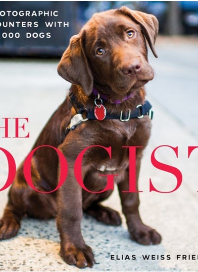 Buy The Dogist : Photographic Encounters with 1,000 Dogs in UAE