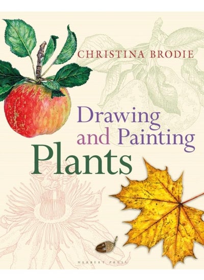 Buy Drawing and Painting Plants in UAE