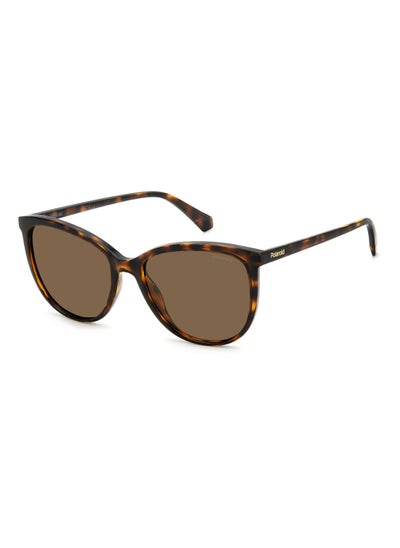 Buy Women's Polarized Rectangular Shape  Sunglasses Pld 4138/S Gold 48 - Lens Size: 47.7 Mm - Hvn in Saudi Arabia