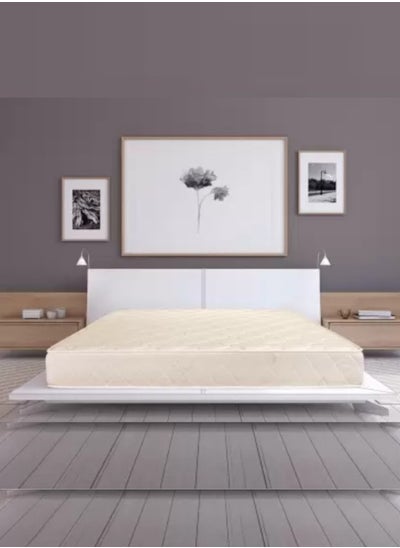 Buy Americano Comfy Premium Back Comfort High Density  Medical Mattress Single Size 90x190x11 cm in UAE