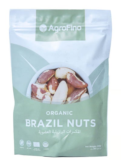 Buy Organic Brazil Nuts 250 grams in Saudi Arabia