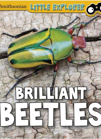 اشتري Brilliant Beetles في الامارات