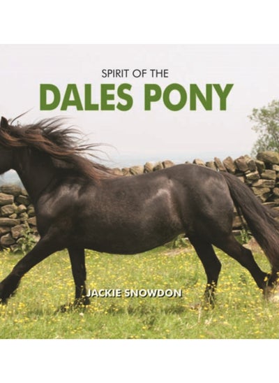 اشتري Spirit of the Dales Pony في الامارات