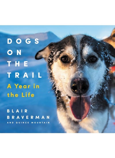 Buy Dogs on the Trail: A Year in the Life in UAE