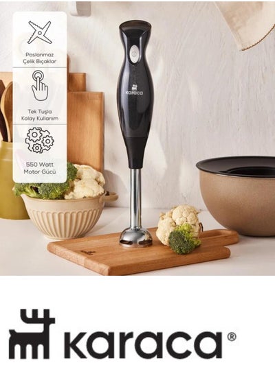 اشتري Karaca Shiny Black Hand Blender في الامارات