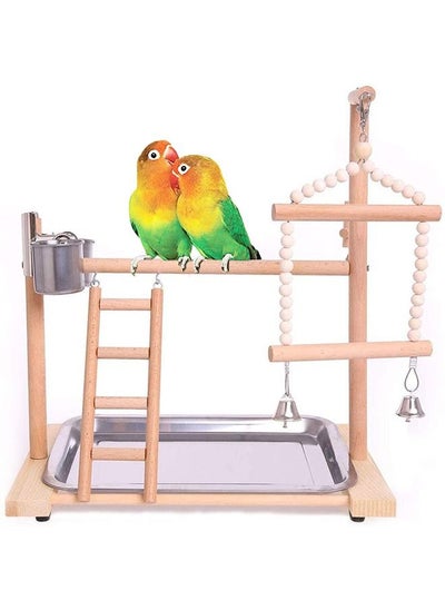 Buy Neostyle Bird Play Stand with Ladder Feeder Cup Bell in UAE