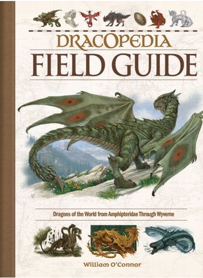 Buy Dracopedia Field Guide : Dragons of the World from Amphipteridae through Wyvernae in UAE