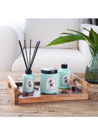 اشتري Bella Heavenly Ginger Lily Reed Diffuser 100ml - Green في الامارات