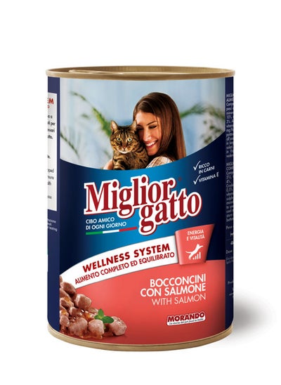 Buy Gatto with Salmon Cat Food, 405g in UAE