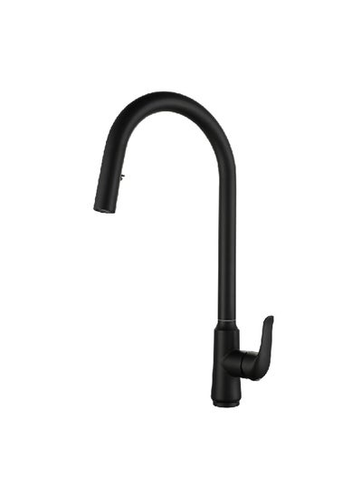 Buy Elegant and Modern Design Stainless Steel Kitchen Mixer Black 1 x 1 x 1 cm JS-K092B in Saudi Arabia