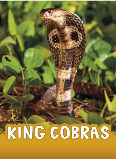 اشتري King Cobras في السعودية