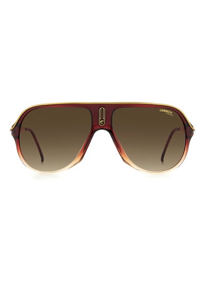 Buy Rectangular / Square Sunglasses SAFARI65/N  BURG SHD 62 in UAE