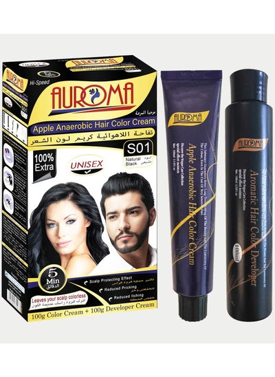 Buy Natural Black S01 Hair Color Cream 200ml in UAE