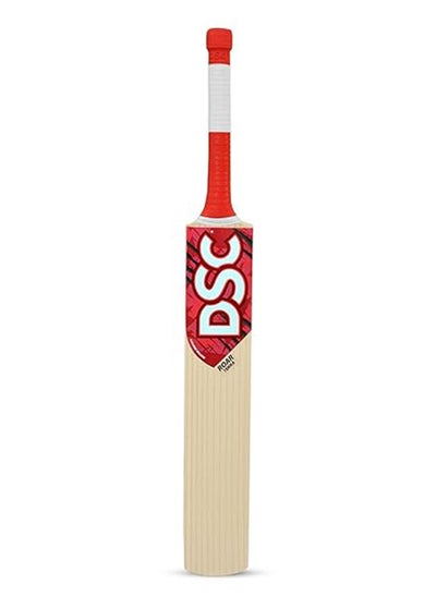 اشتري Roar Terra Kashmir Willow Cricket Bat في الامارات