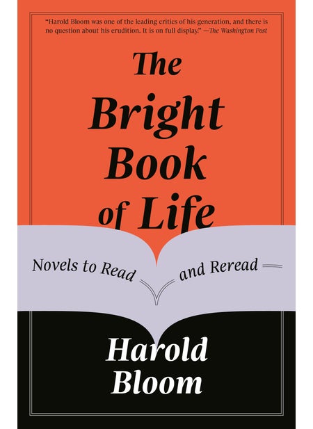 Buy The Bright Book of Life in UAE