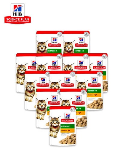 اشتري Science Gravy Kitten Wet Food with Chicken  (PACK Of 12) في الامارات