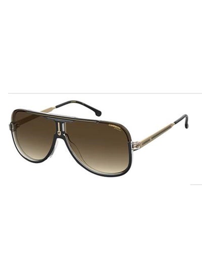 Buy Men's UV Protection Square Sunglasses - CARRERA 1059/S BROWN 64 Lens Size: 64 Mm Black/Gold in UAE