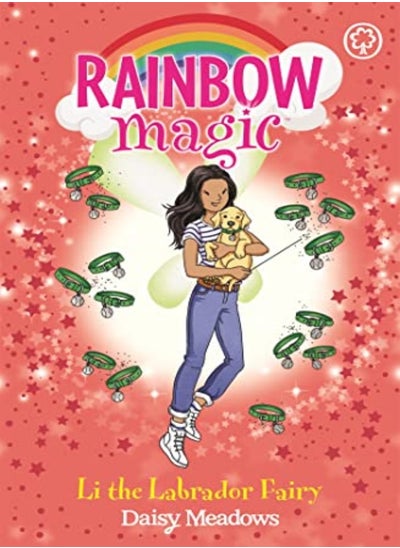 Buy Rainbow Magic: Li the Labrador Fairy in UAE