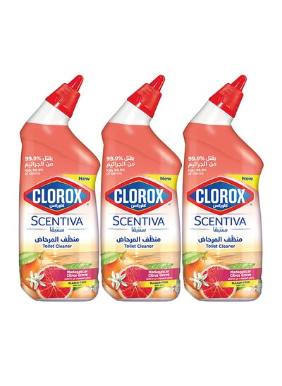 Buy Toilet Cleaner Citrus Scent Pack Of 3 in UAE