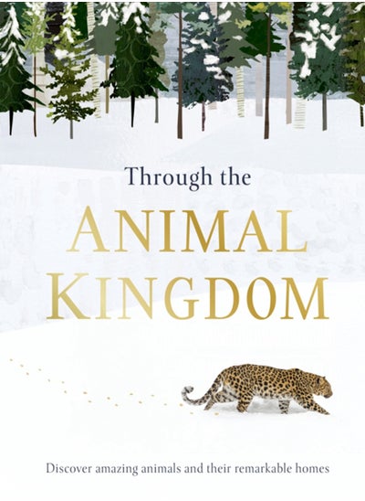 Buy Through the Animal Kingdom : Discover Amazing Animals and Their Remarkable Homes in Saudi Arabia