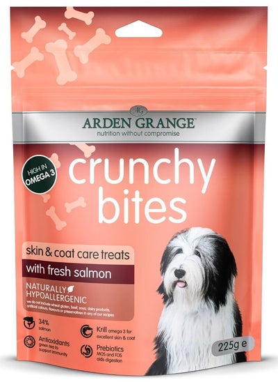 Buy Crunchy Bites with Fresh Salmon Dog Treats 225g in UAE