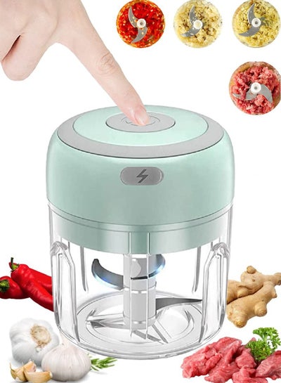 Fancy Electric Garlic Chopper, Portable Cordless Mini Food Processor,  Rechargeable Vegetable Chopper Blender for Nuts Chili Onion Minced Meat and  Spices Pink 