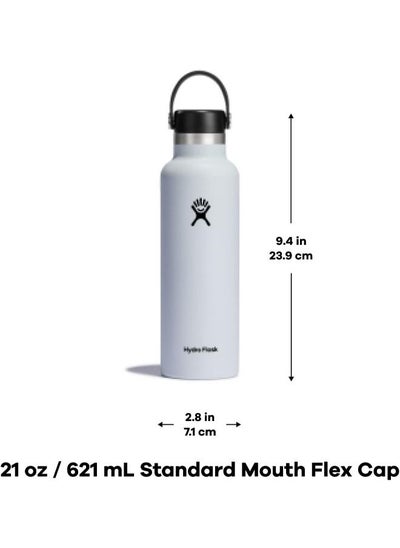 اشتري Vacuum Bottle 620ml Lupine STD Mouth في الامارات