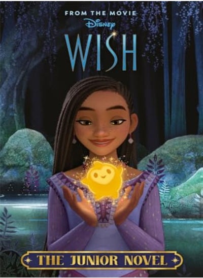 Buy Disney Wish: The Junior Novel in UAE