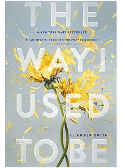 Buy The Way I Used To Be - BY Amber Smith in Egypt