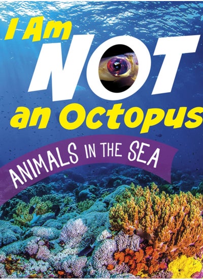 Buy I Am Not an Octopus : Animals in the Ocean in Saudi Arabia