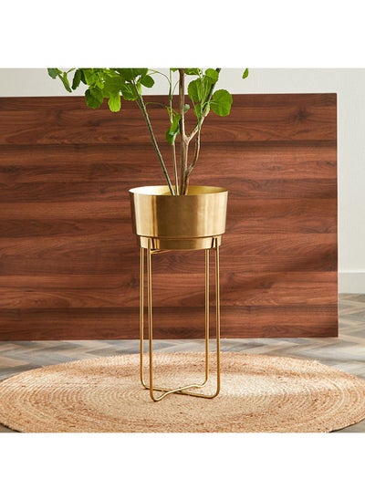 اشتري 2-Piece Ace Metal Planter Set With Stand 50x30x50 cm في الامارات