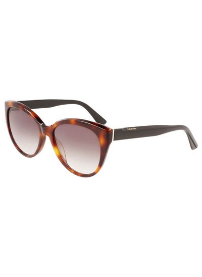 Buy Calvin Klein CK22520S 236 57 Women's Sunglasses in UAE