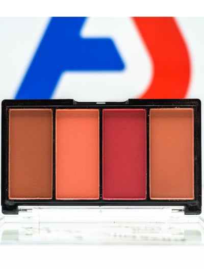 Buy New Blusher Set - 4 Colors - D Series in Egypt
